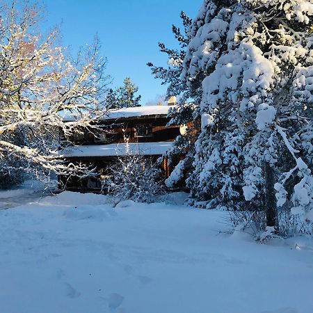 Kibuvitsa Holiday House Muratsi Bagian luar foto
